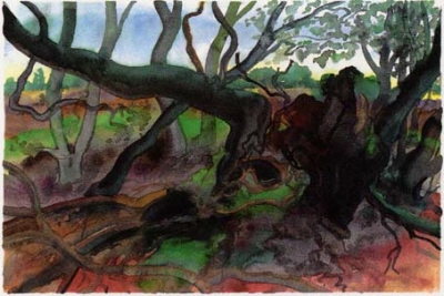 Waldlandschaft auf Moen - Algraphie von Günter Grass ... Galerie Conrad